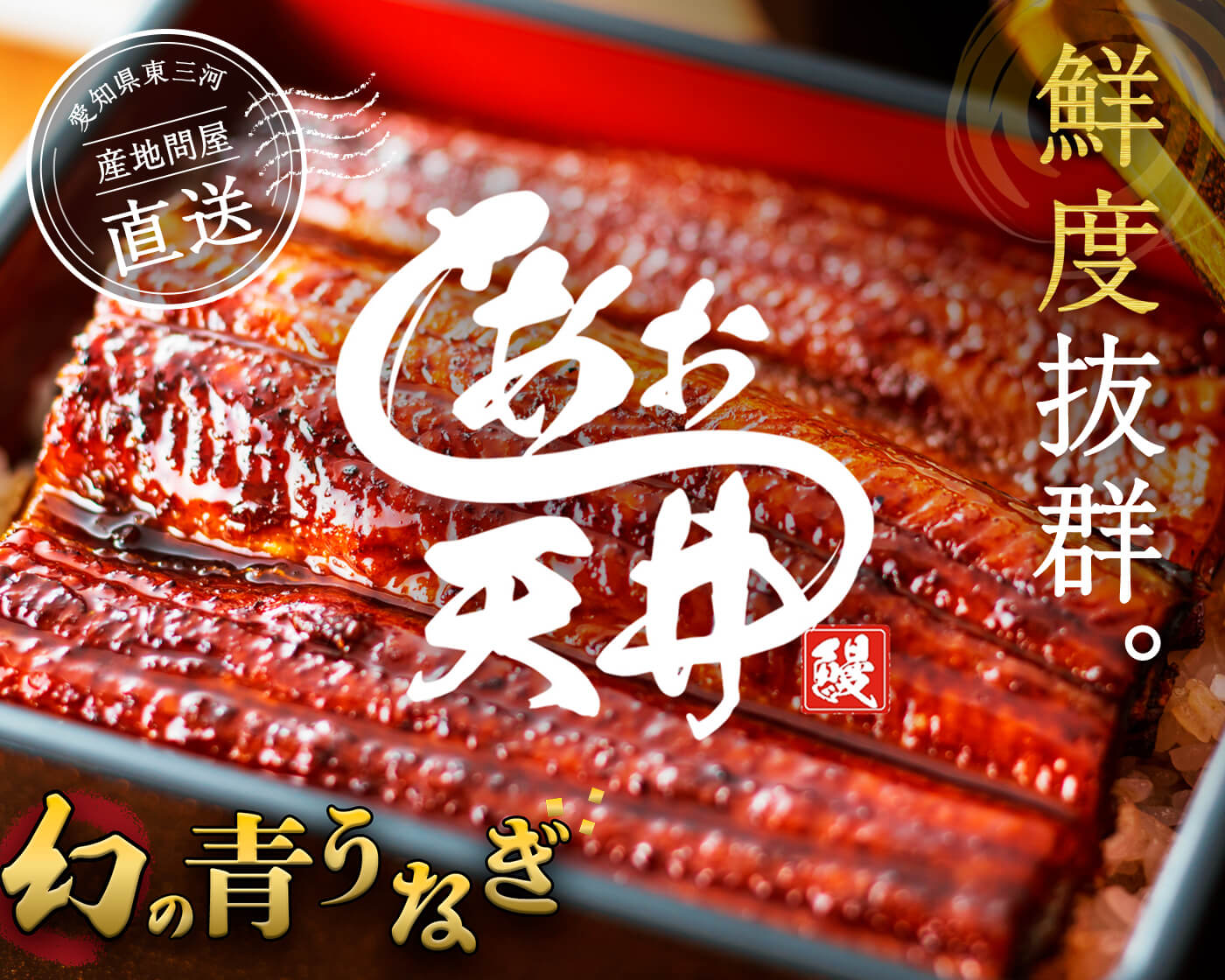 鮮度抜群 幻の青うなぎあお天井